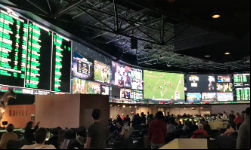 At just under 30,000 square feet, the Westgate Las Vegas Superbook is the largest sportsbook in the world.